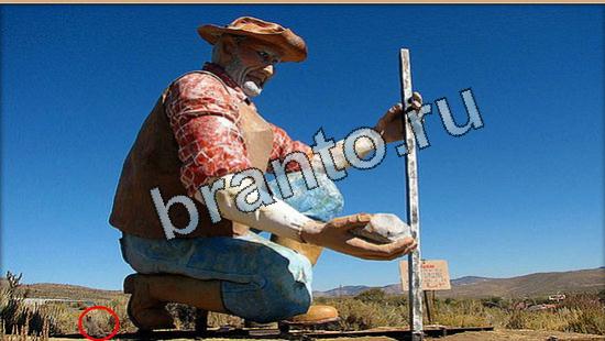 Где же кот прохождение игры Уровень 5422