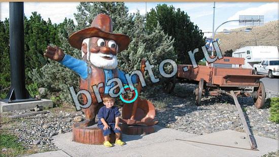 відповіді на игру Где же кот в одноклассниках Уровень 5423