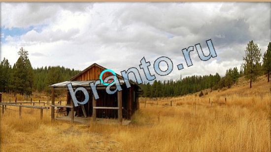 ответы Где же кот Уровень 5425