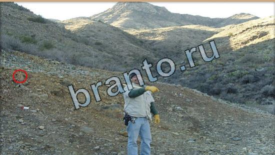 ответы Где же кот? в одноклассниках Уровень 5426