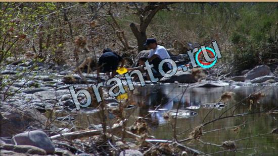 решения для игры Где же кот Уровень 5428