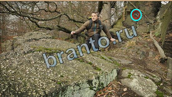 Где же кот помощь в картинках Уровень 5431