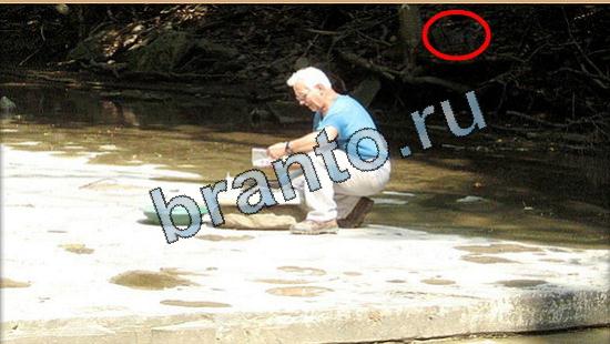 Где же кот ответы на новые задания Уровень 5433