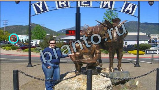 ответы на игру Где же кот Уровень 5434