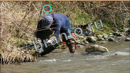 ответы на игру Где же кот Уровень 5436