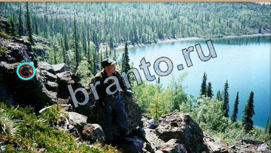 Где же кот игра ответы Уровень 5440