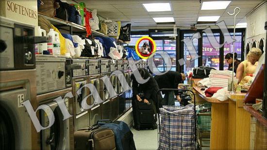 ответы на игру Где же кот Уровень 481