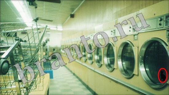 Подсказки на игру Где же кот Уровень 482