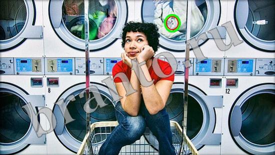 ответы к игре Где же кот Уровень 485