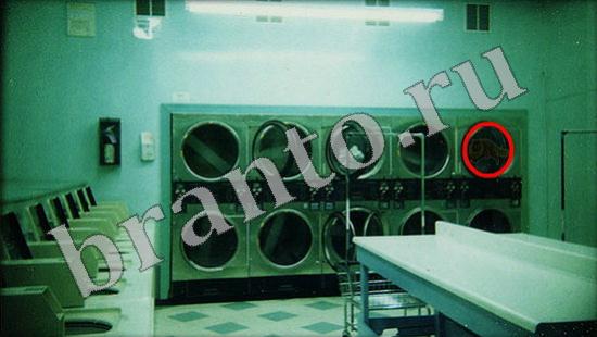 Где же кот? ответы Уровень 488