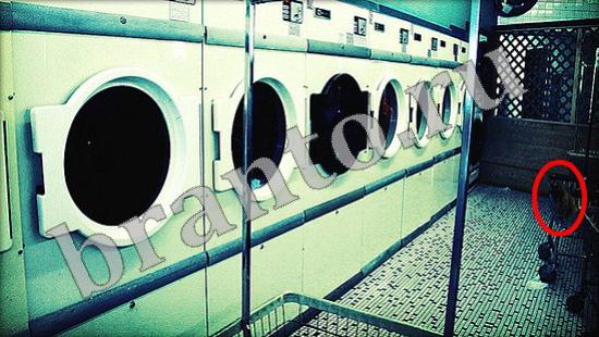 решебник на игру Где же кот Уровень 491