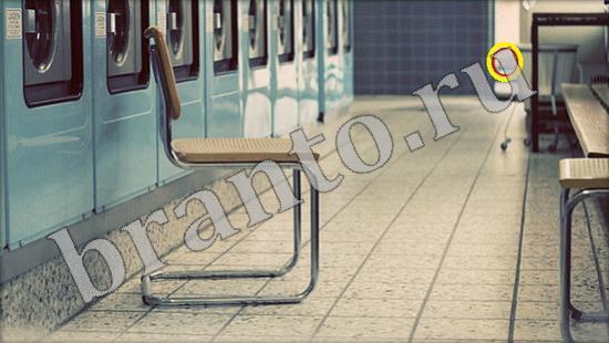 Где же кот игра подсказки Уровень 494