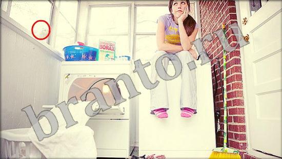 Игра Где же кот ответы Уровень 497