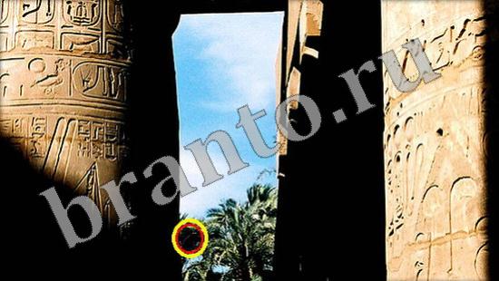 Прохождение игры Где же кот Уровень 504