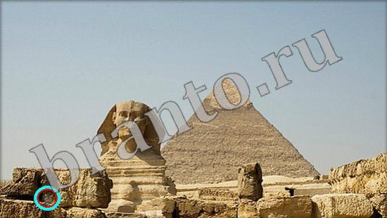 ответы Где же кот? в одноклассниках Уровень 506