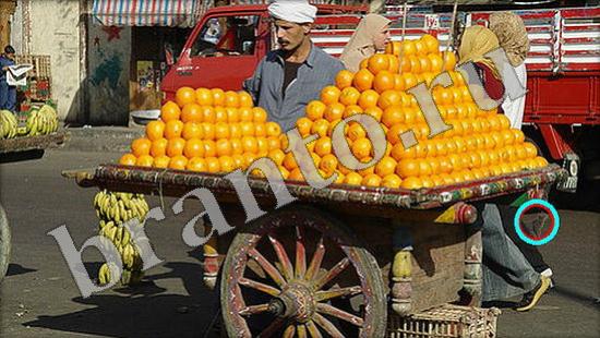 Где же кот игра ответы Уровень 509