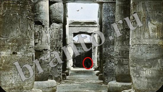 игра в одноклассниках Где же кот ответы Уровень 510