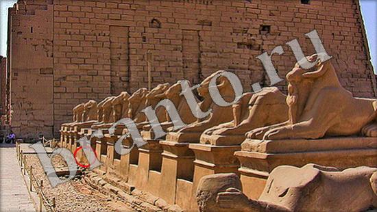 ответы на игру Где же кот Уровень 516