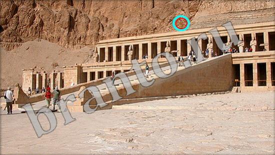 ответы на игру Где же кот Уровень 517