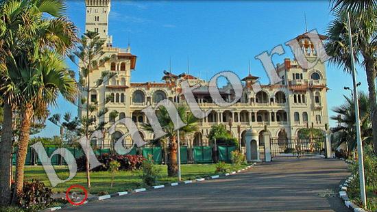 ответы на игру Где же кот Уровень 518