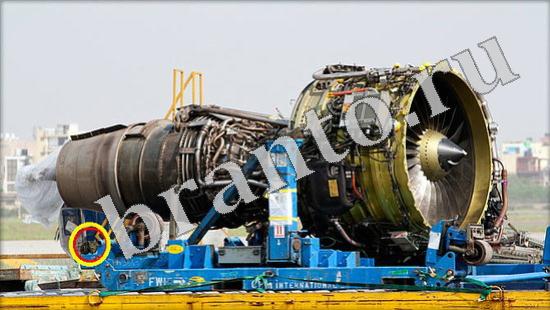 ответы на игру Где же кот Уровень 561