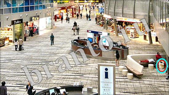 Помощь на игру Где же кот Уровень 564