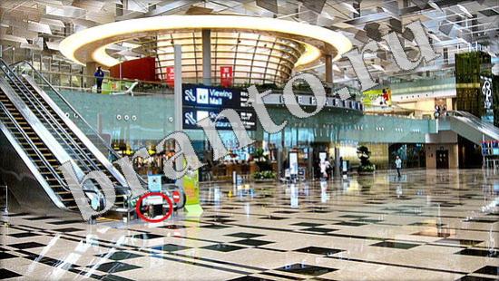 ответы к игре Где же кот Уровень 565