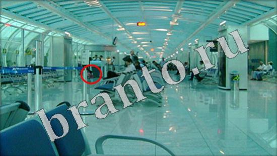 Где же кот игра ответы в одноклассниках Уровень 567