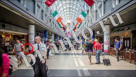 Где же кот? подсказки Уровень 569