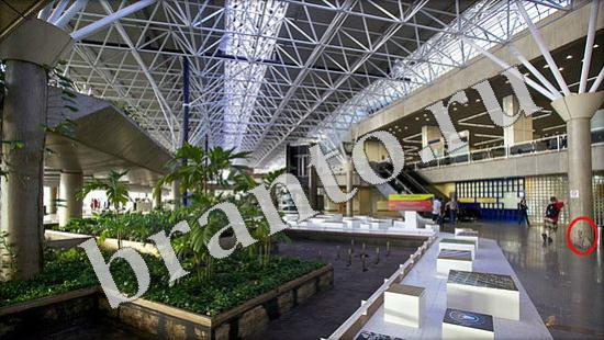 Где же кот? помощь Уровень 570