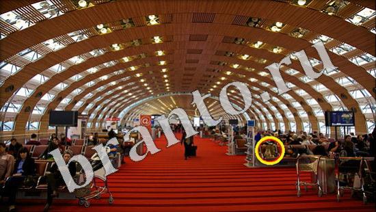 решебник на игру Где же кот Уровень 571