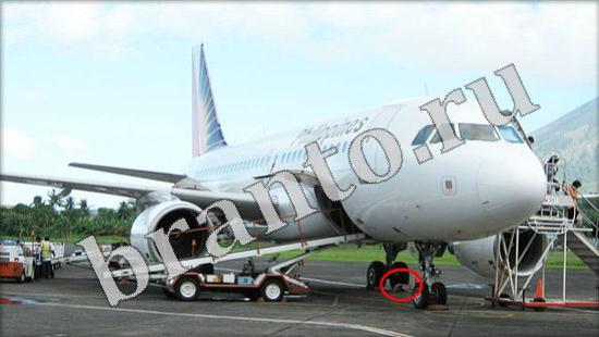 Где же кот? решения Уровень 572