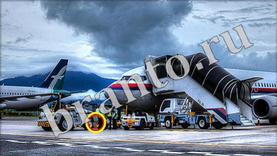 Где же кот игра подсказки Уровень 574