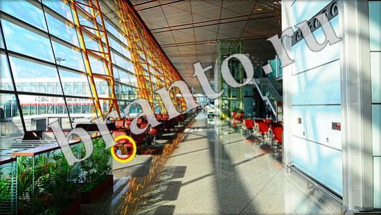 Где же кот игра помощь Уровень 575