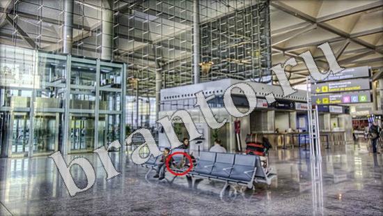 Где же кот ответы в картинках Уровень 576