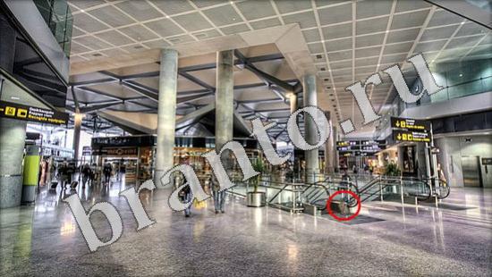 Игра Где же кот ответы Уровень 577