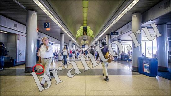 Игра Где же кот подсказки Уровень 578