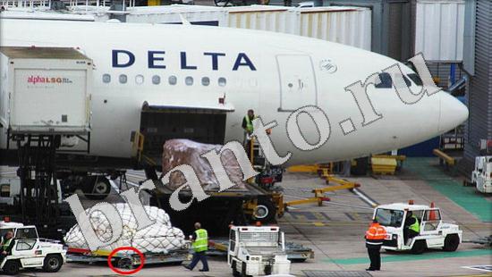 игра Где же кот помощь Уровень 579