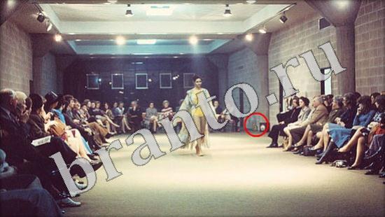 Где же кот прохождение игры Уровень 582