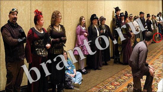 ответы для игры Где же кот Уровень 587