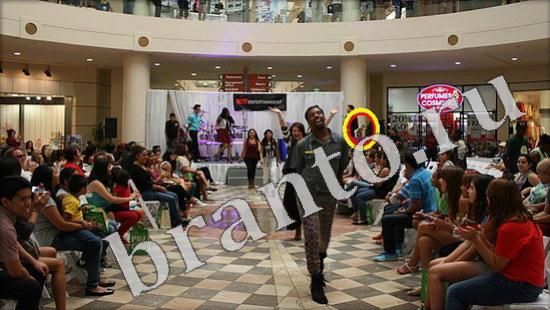 решения для игры Где же кот Уровень 588