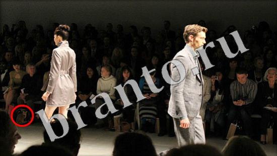 ответы на игру Где же кот Уровень 595