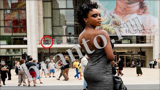 ответы на игру Где же кот Уровень 599