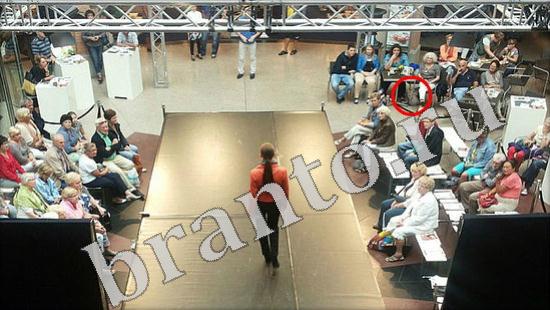 ответы на игру Где же кот Уровень 600