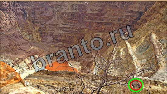 решебник на игру Где же кот Уровень 5531