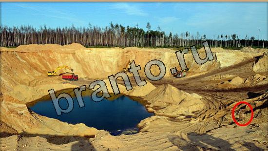 Где же кот игра помощь Уровень 5535