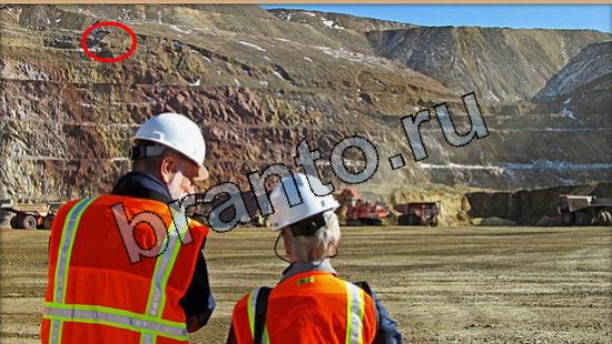 Игра Где же кот ответы Уровень 5537