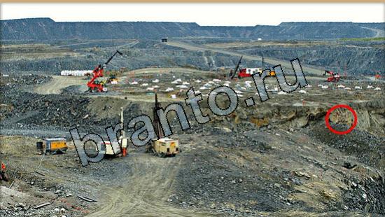 Игра Где же кот подсказки Уровень 5538