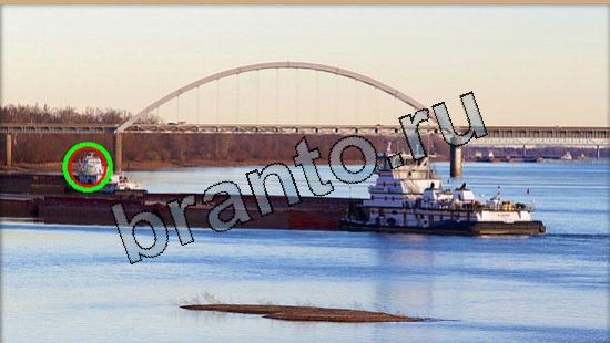 Где же кот прохождение игры Уровень 5542