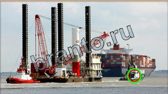 відповіді на игру Где же кот в одноклассниках Уровень 5543